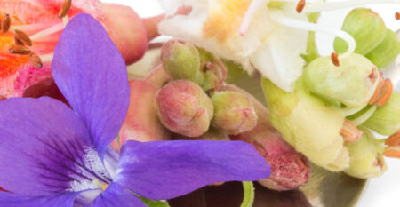 Bach flowers on a spoon